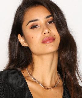 Vissengraad Ijzeren Chocker ketting